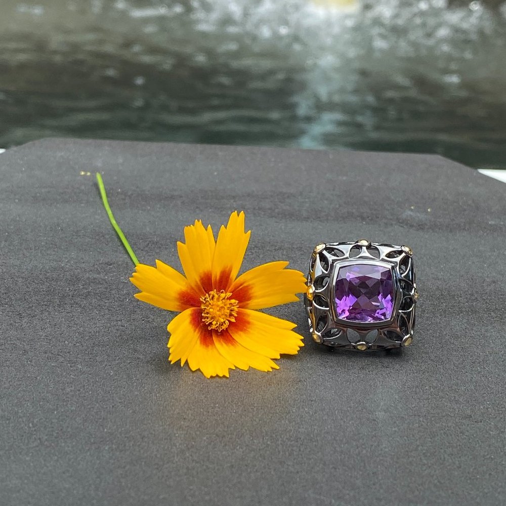 Black Rhoduim over Silver with Amethyst Stone